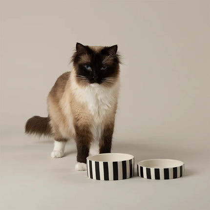 Amalfi voerbak voor katten