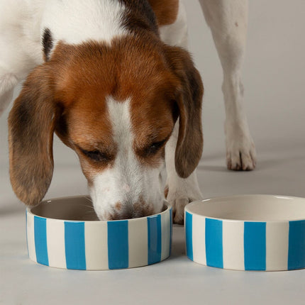 Amalfi dog bowl