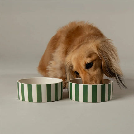 Amalfi dog bowl