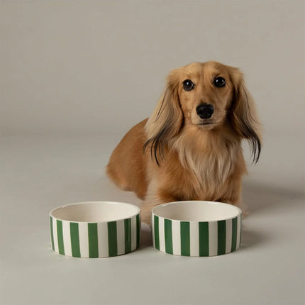 Amalfi dog bowl