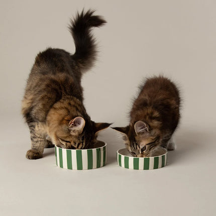 Amalfi voerbak voor katten