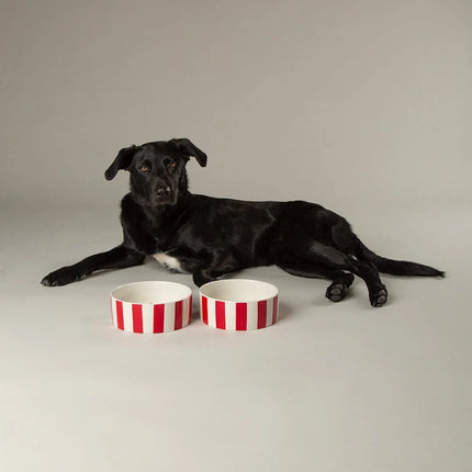 Amalfi dog bowl