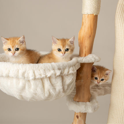 Snowdonia Cat Tree