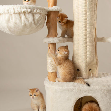 Snowdonia Cat Tree