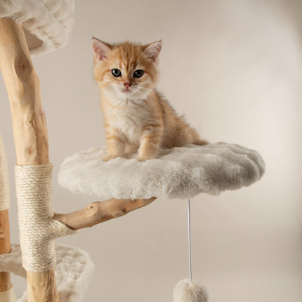 Snowdonia Cat Tree