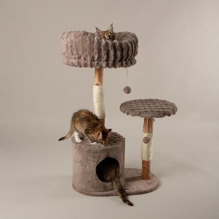 Colorado Cat Tree