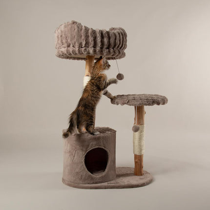Colorado Cat Tree