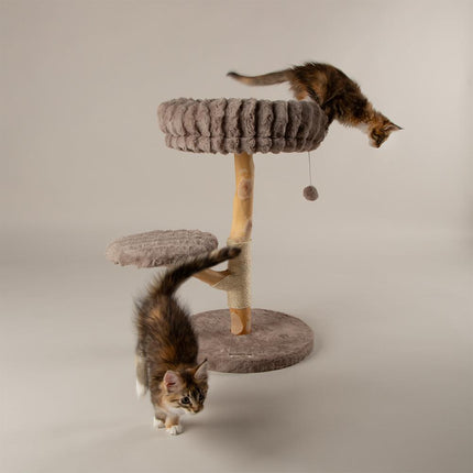Atlas Cat Tree