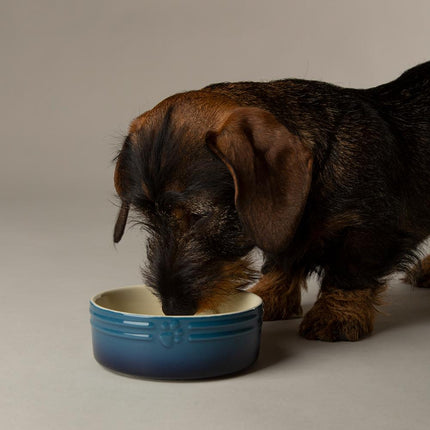 Ombre voerbak voor honden