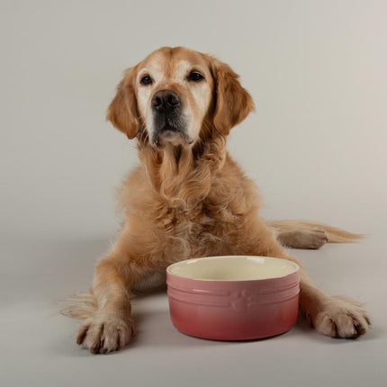 Ombre voerbak voor honden