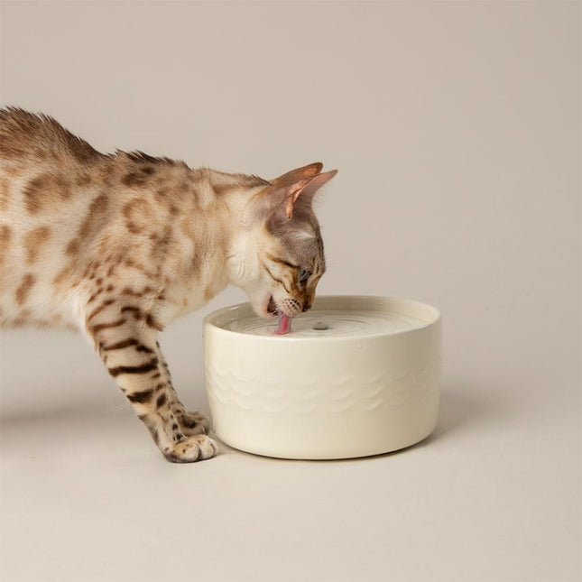 Icon - Ceramic drinking fountain