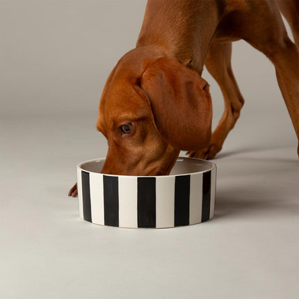 Amalfi dog bowl