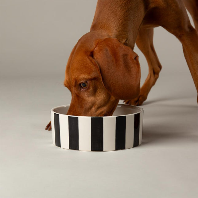 Amalfi dog bowl