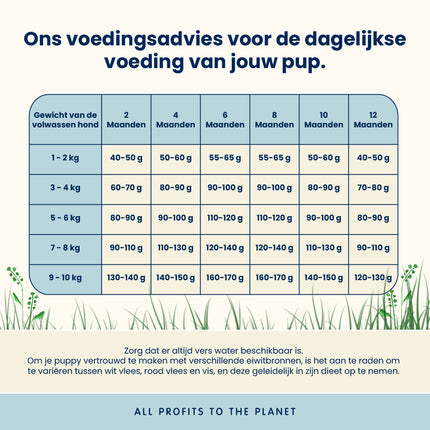Trockenfutter für kleine Hunderassen - Welpe - Huhn - XS/S