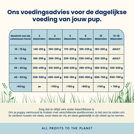 Welpen-Trockenfutter für mittelgroße bis große Hunderassen – Huhn – M/L
