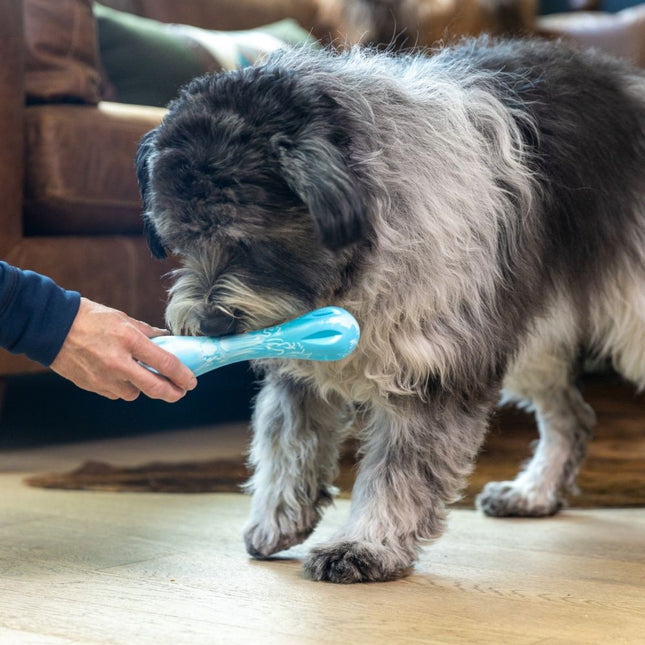 Zogoflex Hurley Welpe