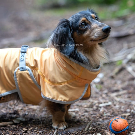 Crisp Cooling Jacket