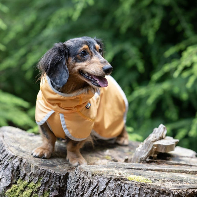 Crisp Cooling Jacket