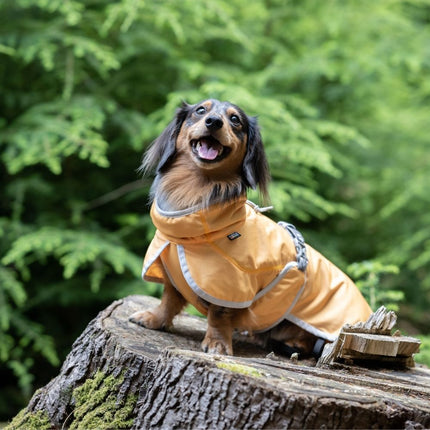 Crisp Cooling Jacket