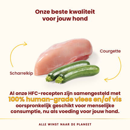 HFC Wet Food Dog - Complete - 17 x 85g