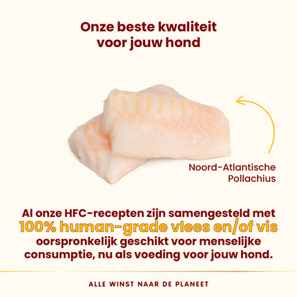 HFC Wet Food Dog - Complete - 17 x 85g