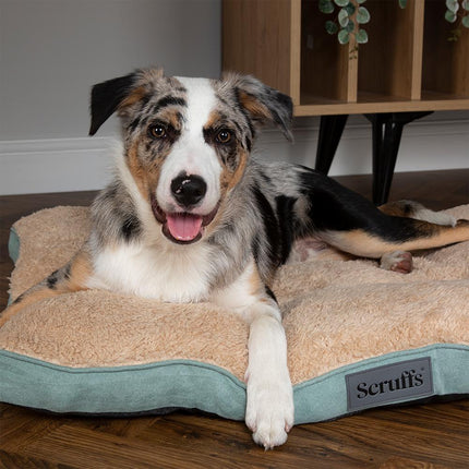 Display - Cosy Mattress - 18 stuks