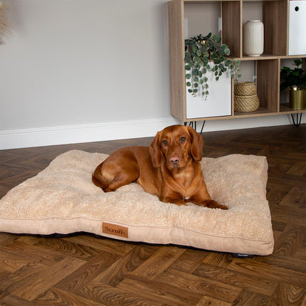 Display - Cosy Mattress - 18 stuks