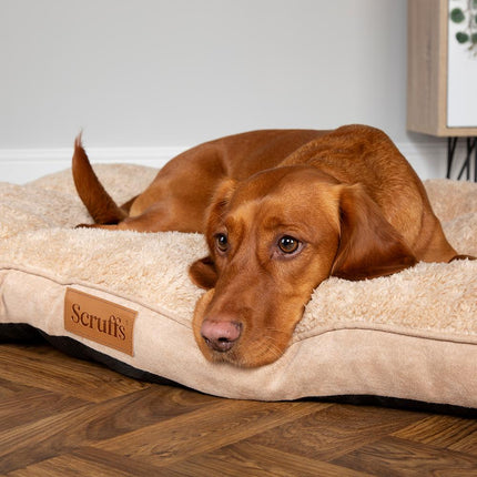 Display - Cosy Mattress - 18 stuks