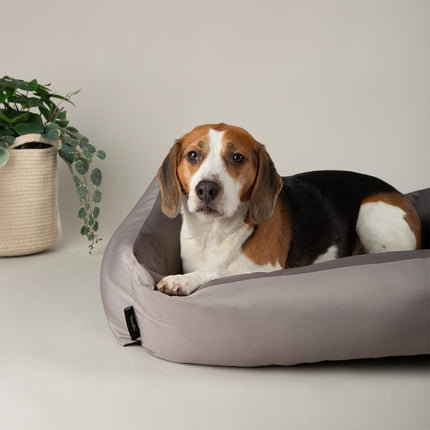 Expedition Box Bed