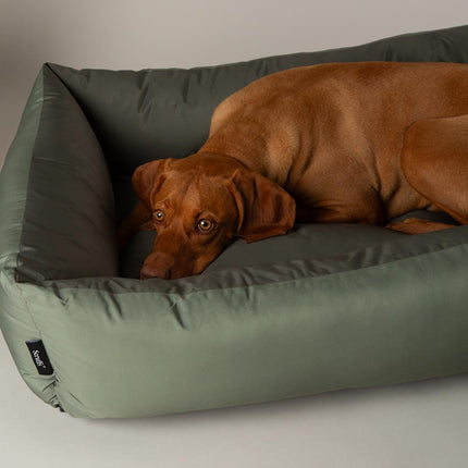 Expedition Box Bed