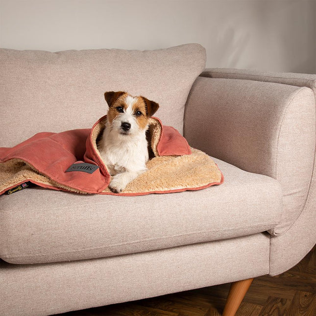 Display - Snuggle Blanket - 40 units