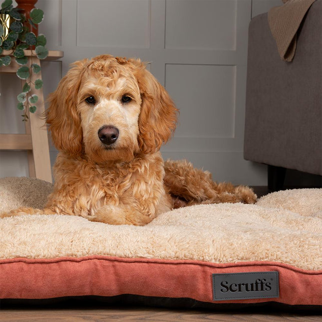 Display - Cosy Mattress - 18 pieces