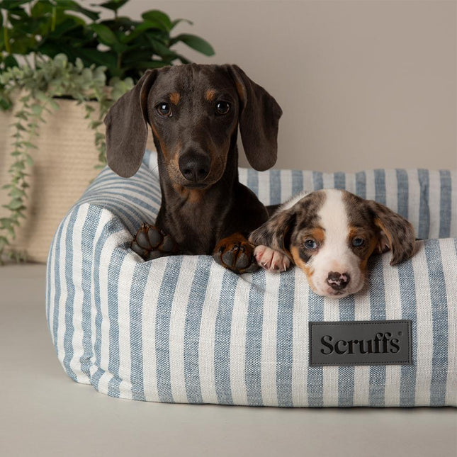 Coastal Box Bed