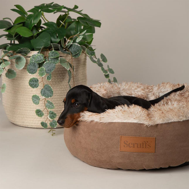 Display - Slumber Cat Bed - 24 pieces