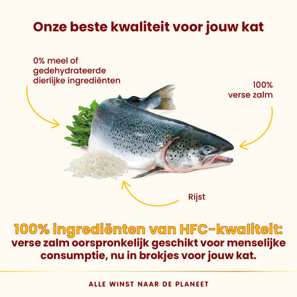 HFC Our Best Dry Cat Food - Adult Highly Appetizing