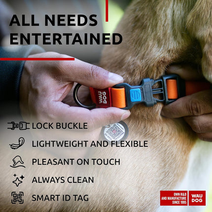 Waterproof dog collar with QR passport