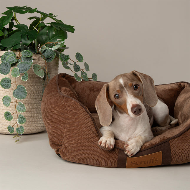 Chester Box Bed