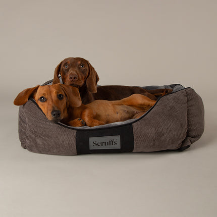 Chester Box Bed