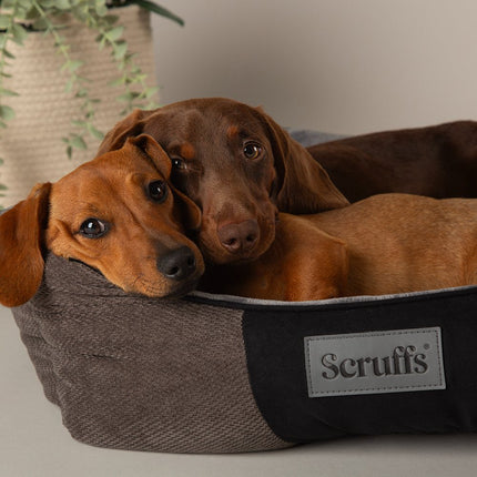 Chester Box Bed