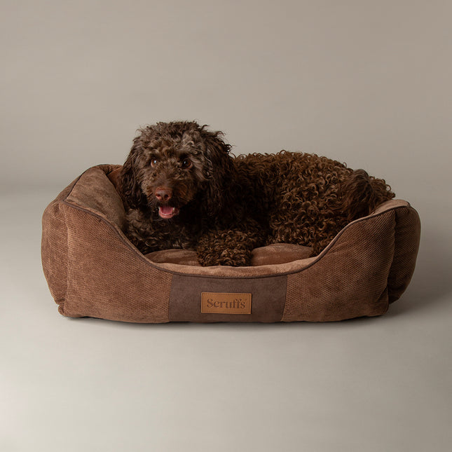 Chester Box Bed