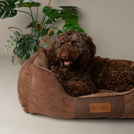 Chester Box Bed