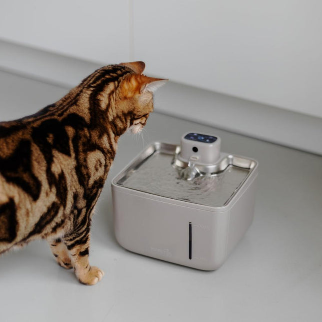 AURA 3.5 L Wireless drinking fountain