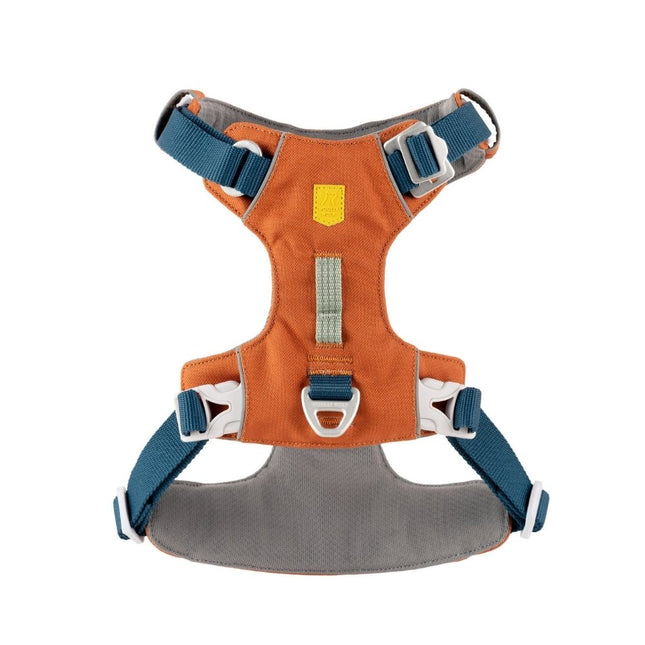Alpha 360 Harness
