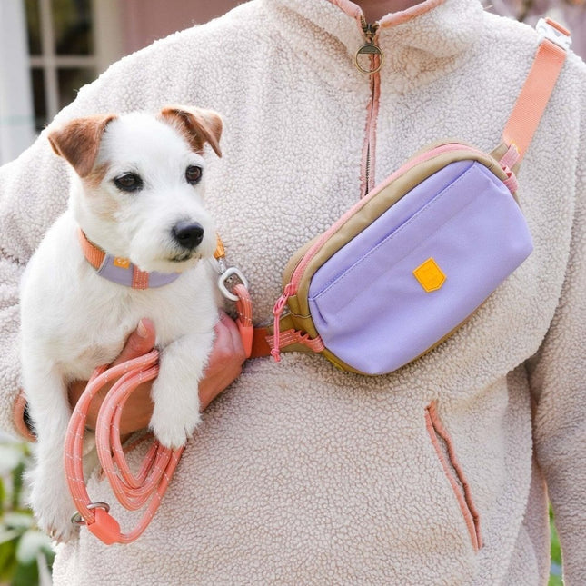 Alpha 360 Hip Pack