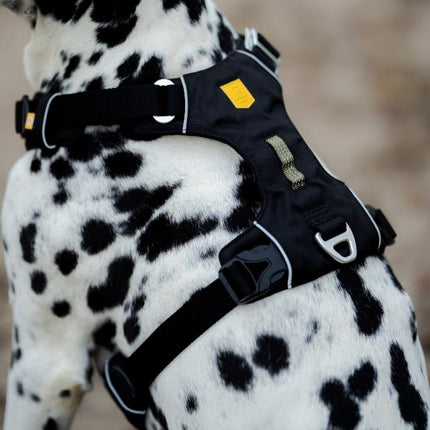 Alpha 360 Harness