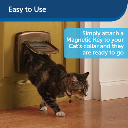 Staywell® Magnetischer Halsbandschlüssel
