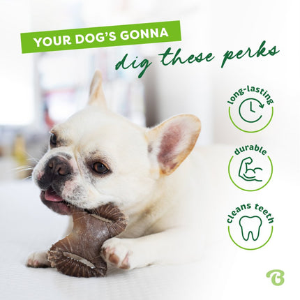 Tiny 2er-Pack Dental Chew & Wishbone