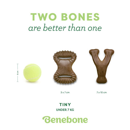 Tiny 2er-Pack Dental Chew & Wishbone