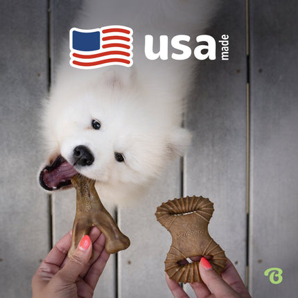 Tiny 2er-Pack Dental Chew & Wishbone