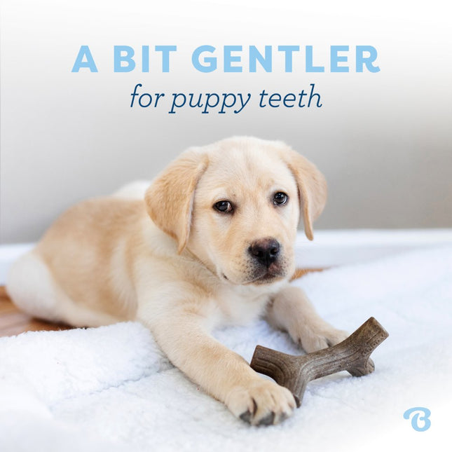 Puppy 2-Pack Maplestick & Zaggler